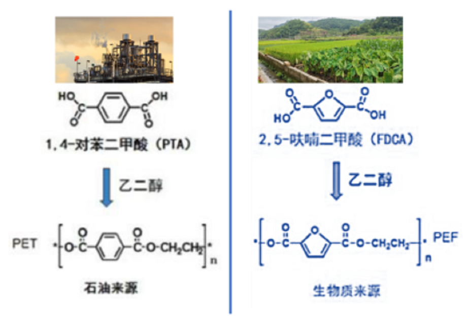 PEF是什么生物基材料？你不了解一下吗？